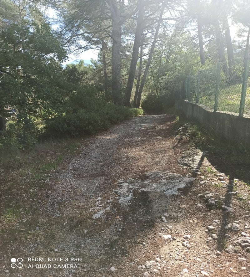 Bois de Gardanne - Aix-en-Provence