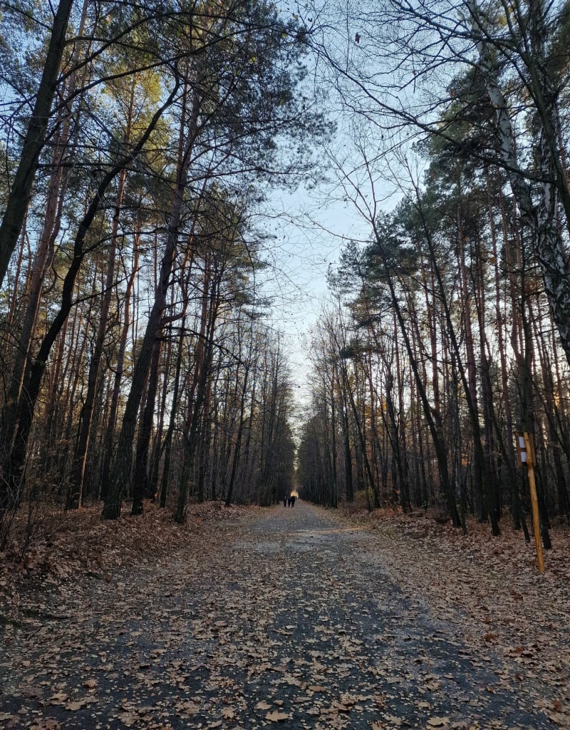 Park Kuronia - Sosnowiec