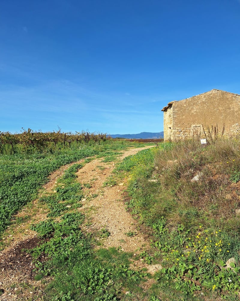 Circuit #5: Le télégraphe (Vendemian) - Vendémian