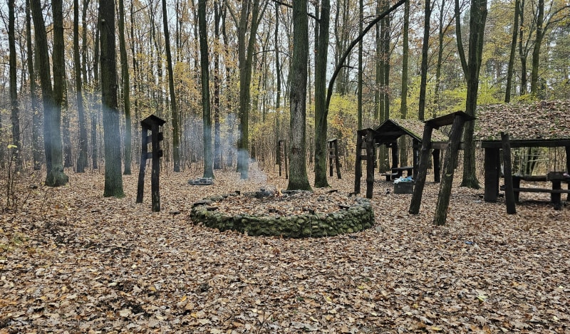 Wygoda Trip - Warszawa