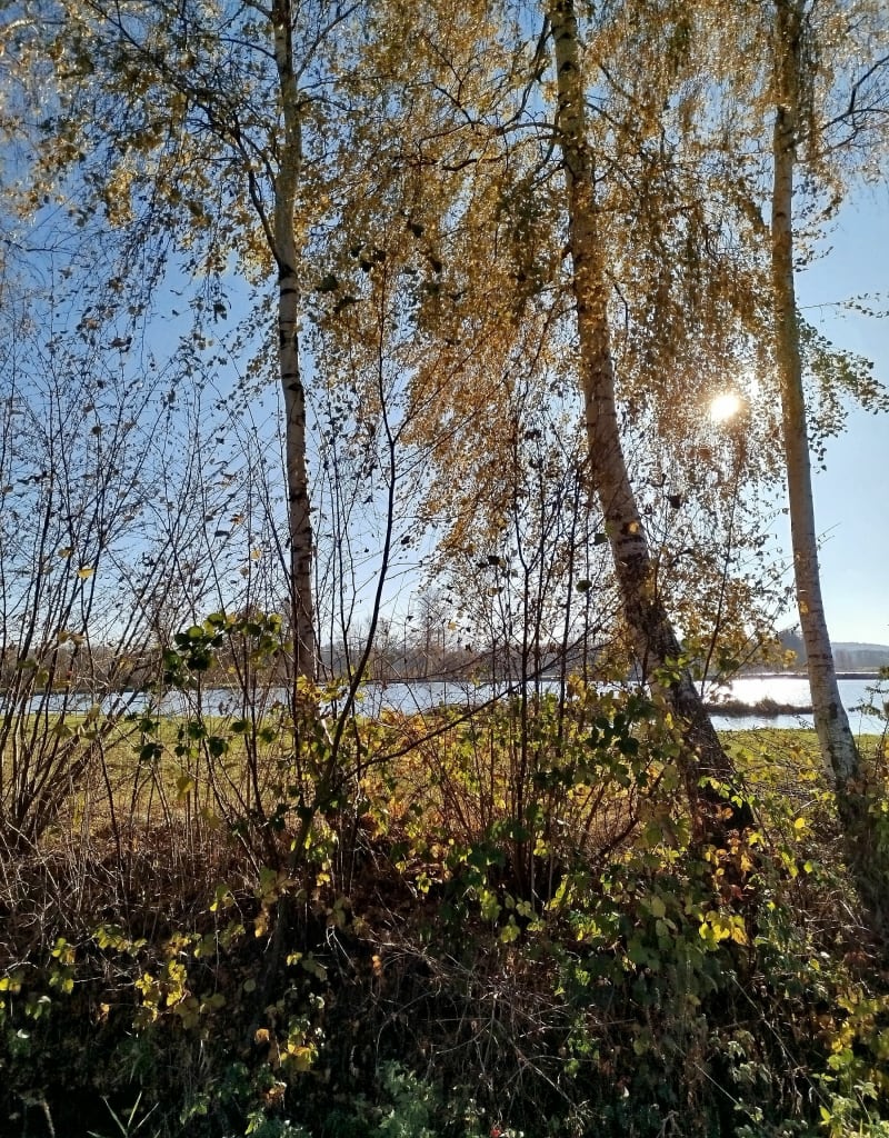 Do okoła Stawow - Czechowice-Dziedzice