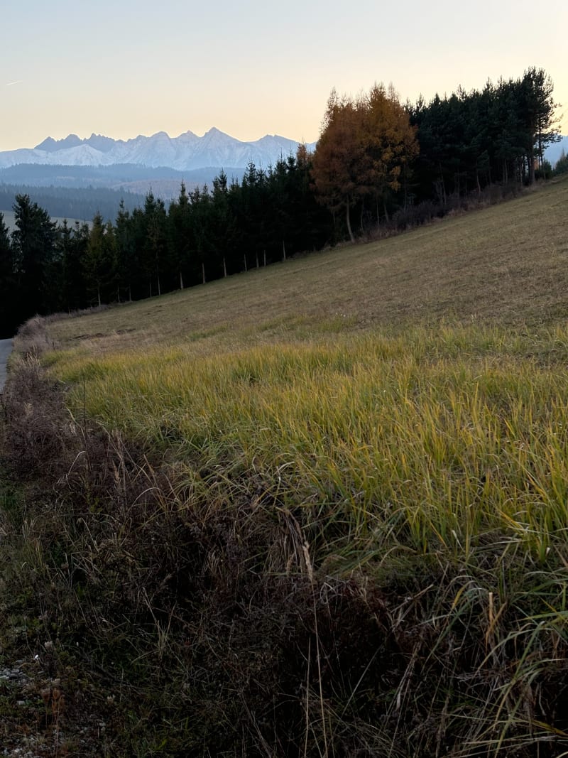 Kółko w Łapszach Niżnych z widokiem na Tatry - Łapsze Niżne