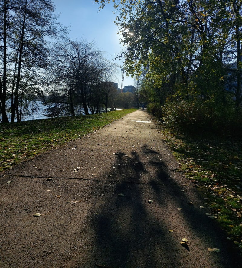 Spacer wokół stawu Łąka - Katowice