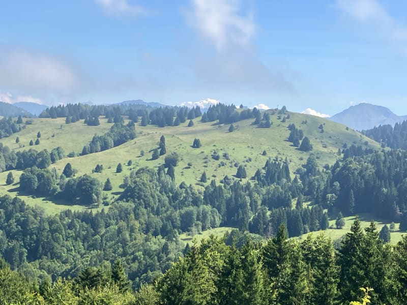 La Motte en Bauges - Saint-François-de-Sales