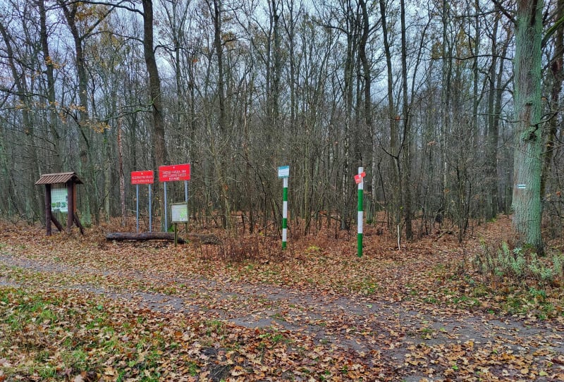 Olesin, pętla Lasami Mareckimi - Warszawa