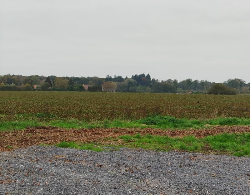 Campagne entre Sars et Brillon - Sars-et-Rosières