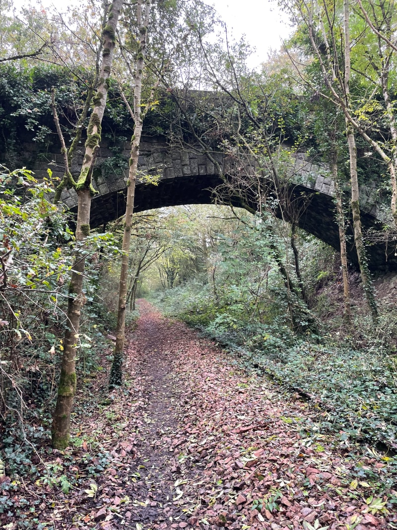 Petite boucle sud du Val de Scie - Nueil-les-Aubiers