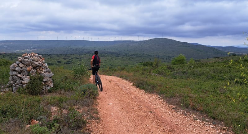 Garrigue à l'aller et le retour par pistes cyclables - Cournonsec