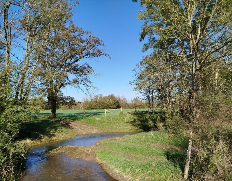 La Voie Royale campagne de Bourg-en-Bresse - Bresse Vallons