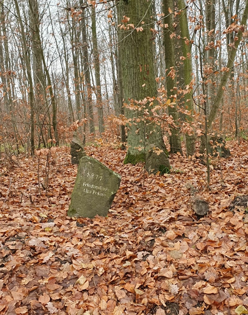 Szczecin. Na Lisicę i do Lwiej Paszczy. - Szczecin