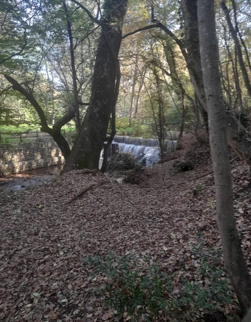 Randonnée automnale  à Bouc Bel Air - Gardanne