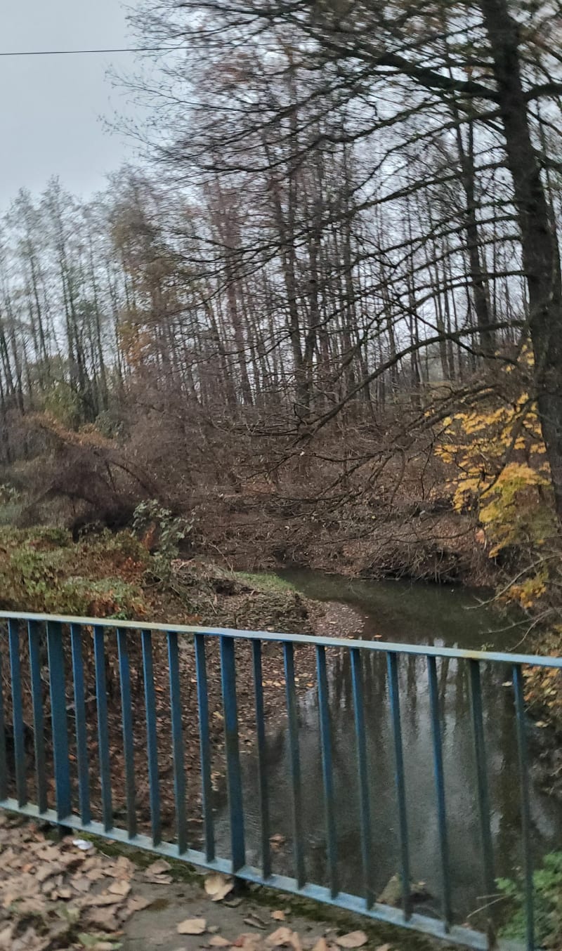 Krótka trasa do okoła Przybradza - Przybradz