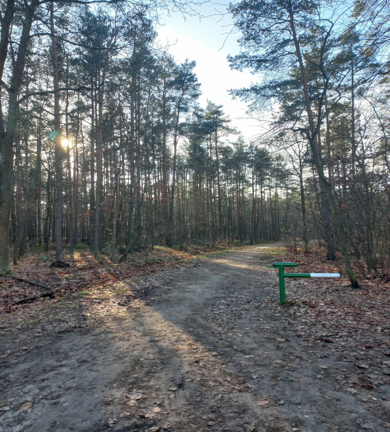 Lesną drogą wokół Rezerwatu Grabicz - Wołomin