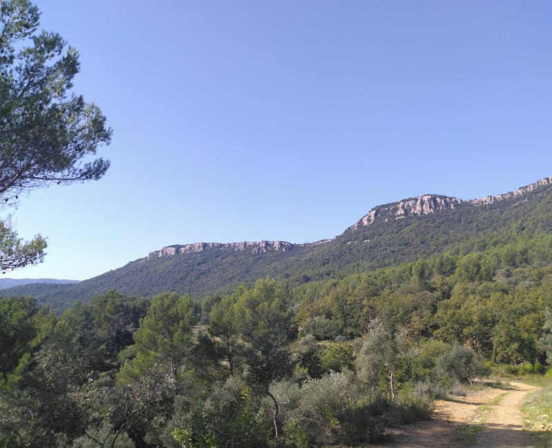 Barre de Cuers (83) depuis Belgentier (16km) - Belgentier