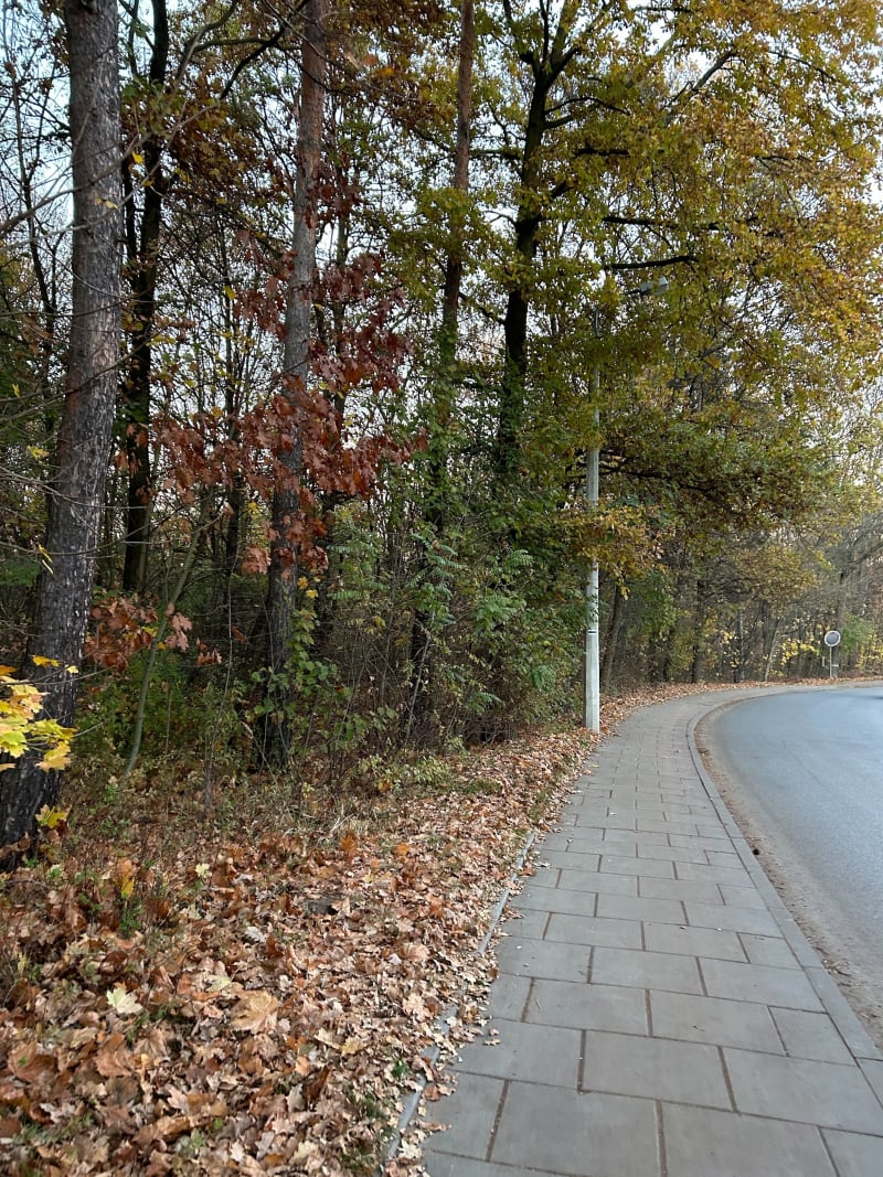 Spacer po Borku Fałęckim - Kraków