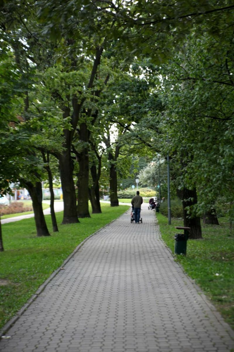 Park przy Bażantarni - Warszawa