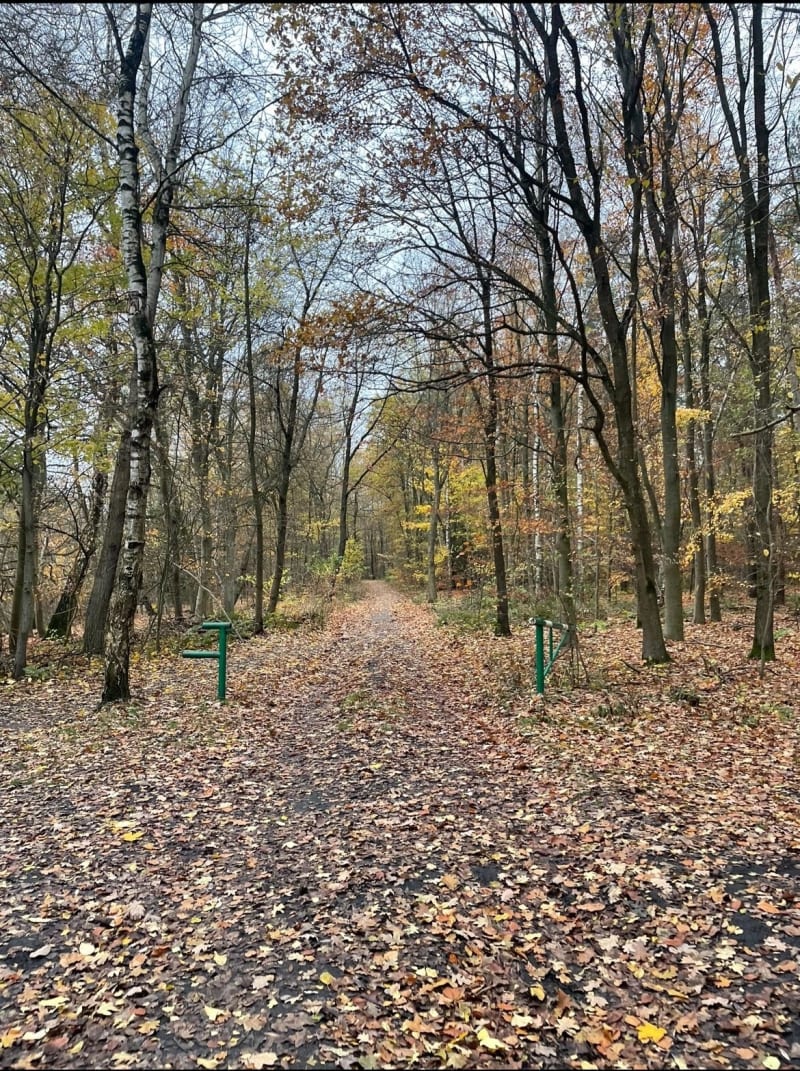 Podbórzańska - Przęsocin - Szczecin