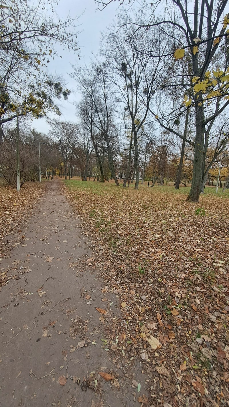 Bieg po łódzkich parlach - Łódź
