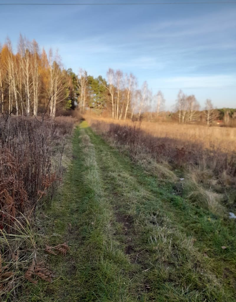 Spokojny Spacer - Jaworzno