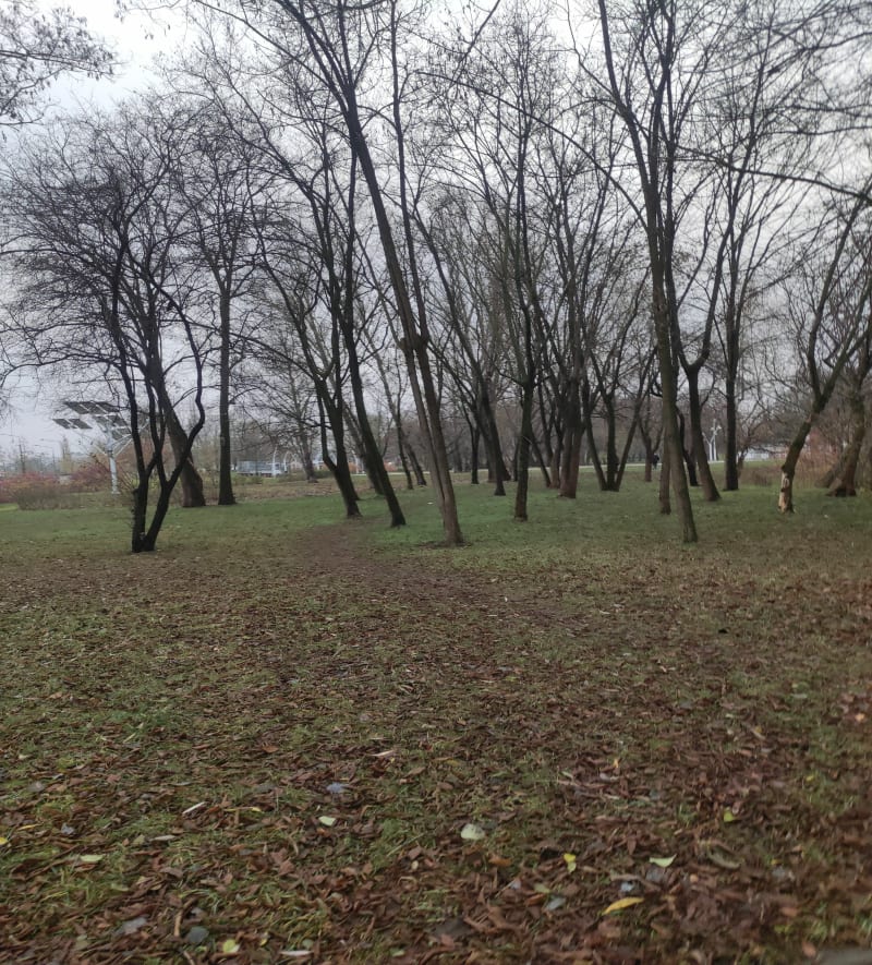 Spacerem po Ursusie - Warszawa