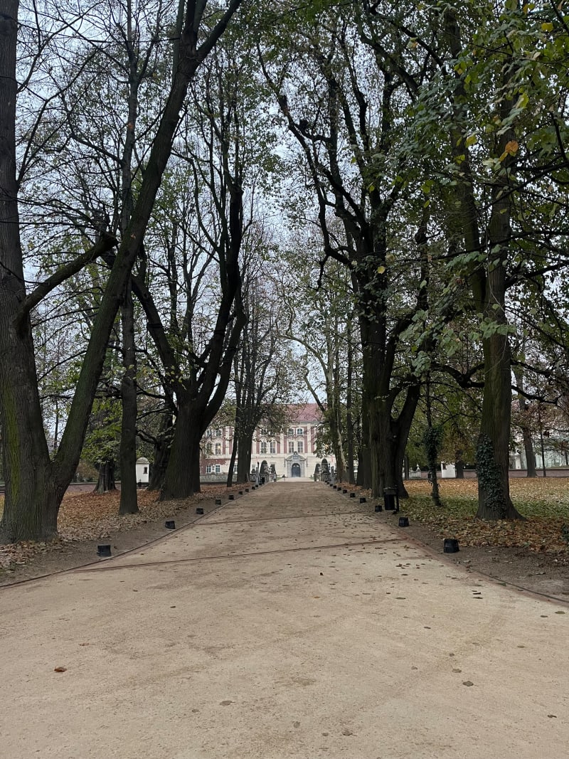 Śladami Lubomirskich - Łańcut