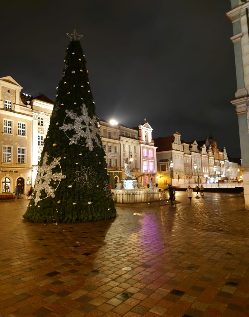 Świąteczny Stary Rynek w Poznaniu - Poznań