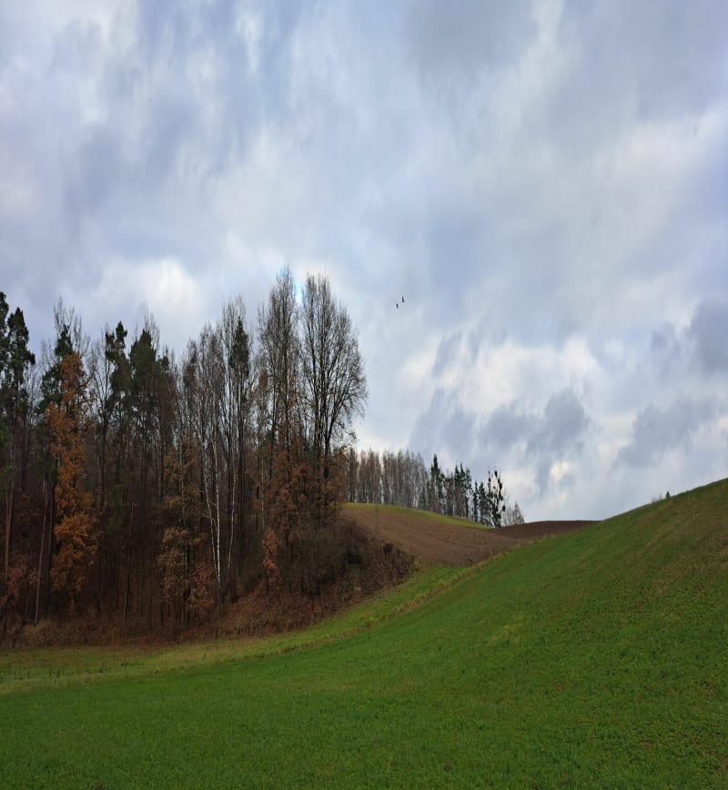 Spacer w nieznane - Stare Świerczyny