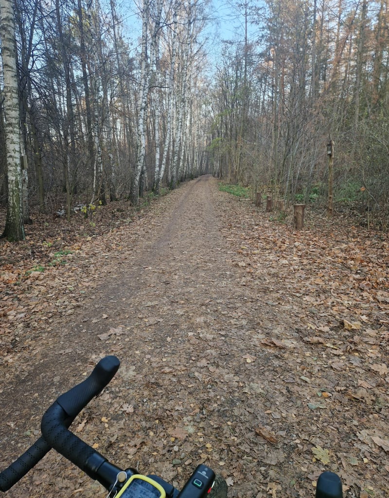 Gravelowa pętla przez Łosiowe bagna, Las Bemowski, Kampinos - Kwirynów