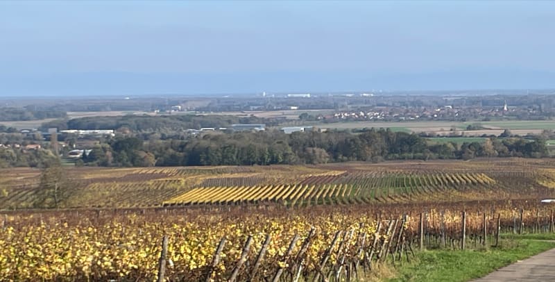 Autour du vignoble d’Heiligenstein - Heiligenstein