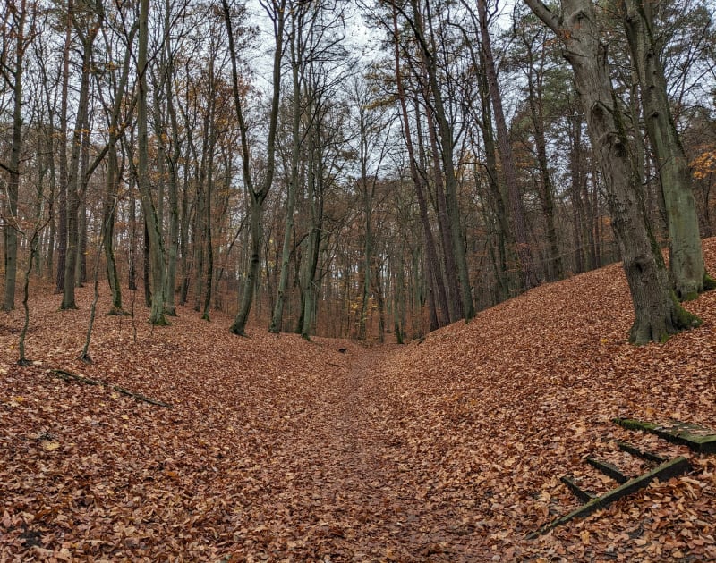 Wspinaczka na Pachołek - Gdańsk