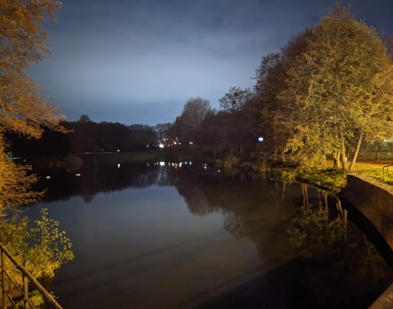 Przechadzka z psem nad potokiem Oliwskim - Gdańsk