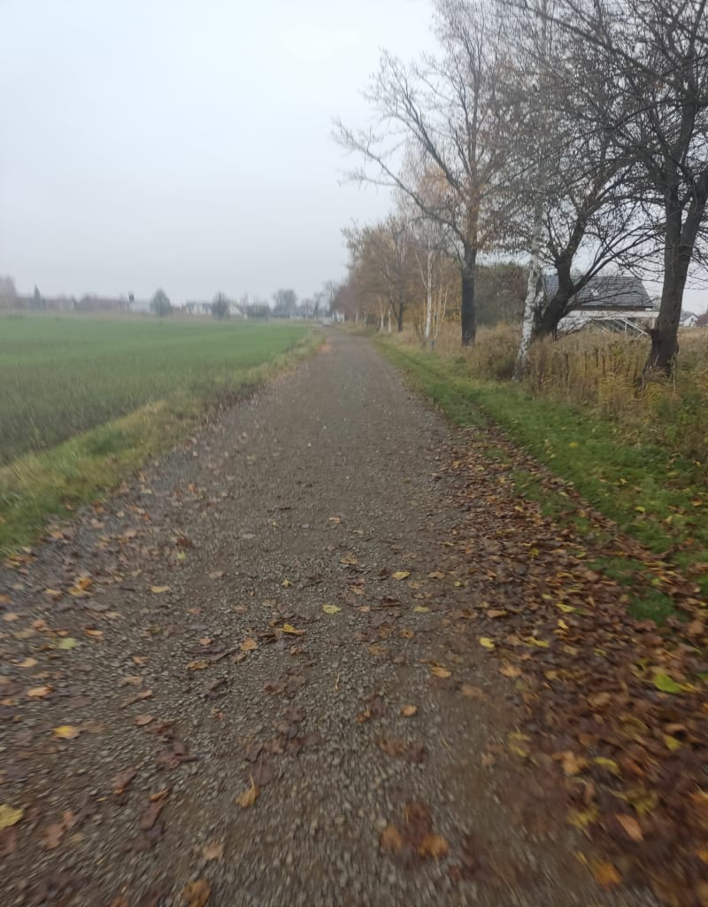 Pętla na otwartej przestrzeni Ligota Zamecka-Ligota Górna - Kluczbork