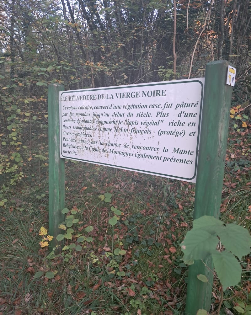 La Vierge Noire  De Nançois-sur- Ornain - Nançois-sur-Ornain