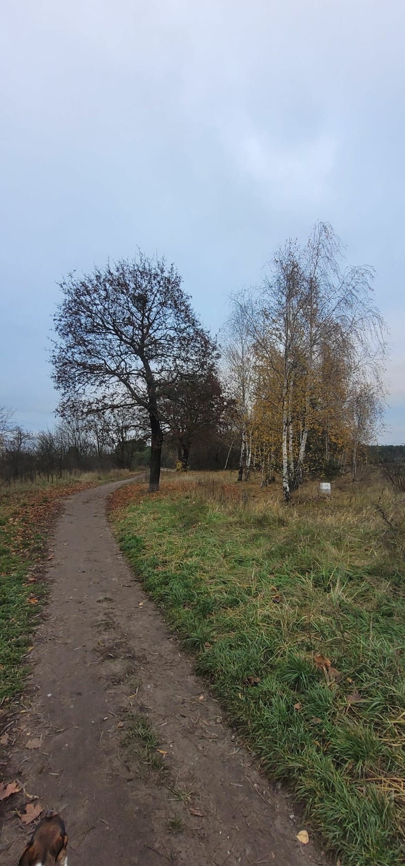 Spacer Rynkowo - Bydgoszcz