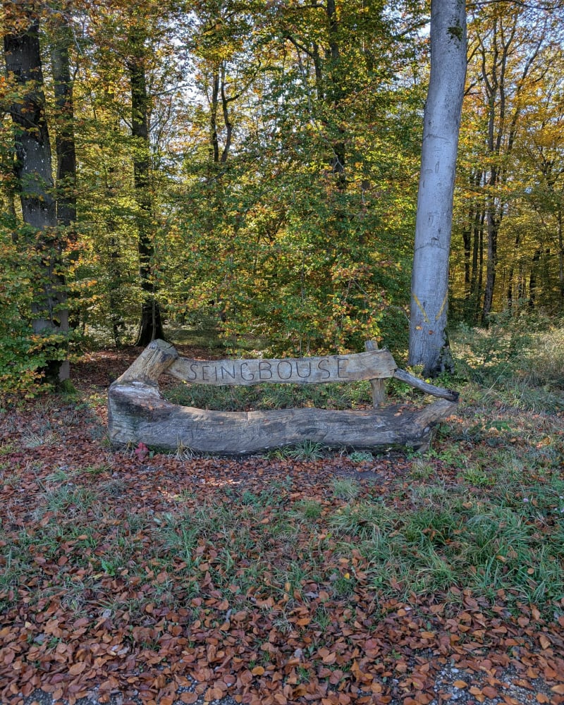 Hombourg Haut et forêt de Cappel - Hombourg-Haut