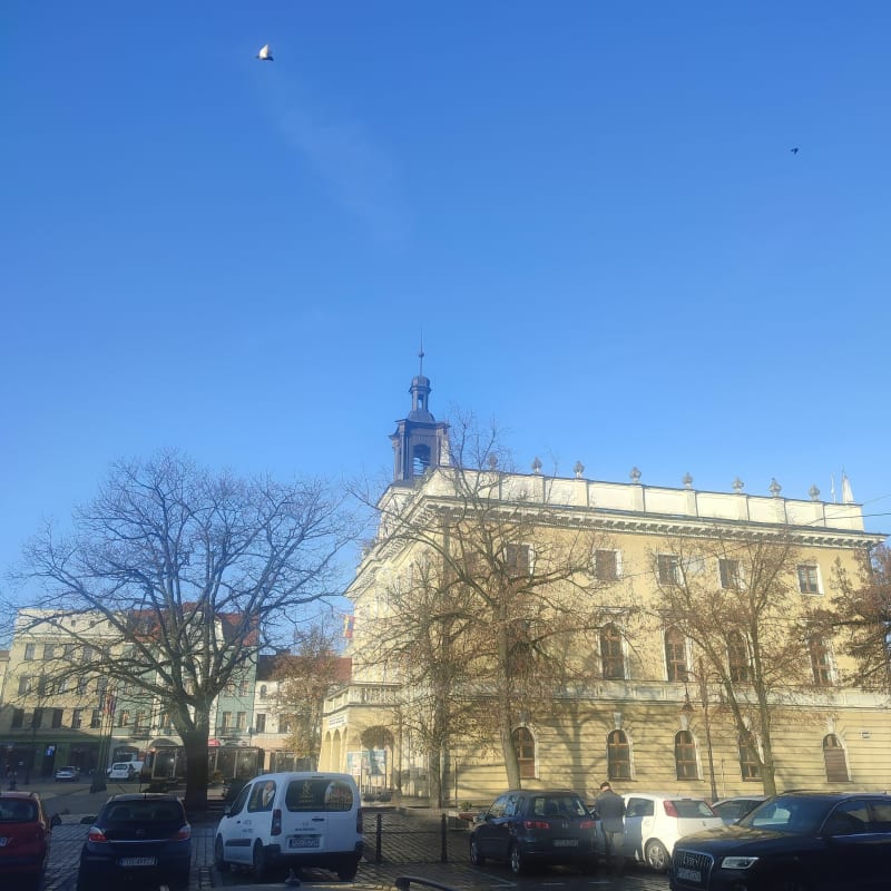 WYCIECZKA ROWEROWA DOKOŁA CENTRUM MIASTA - Ostrów Wielkopolski