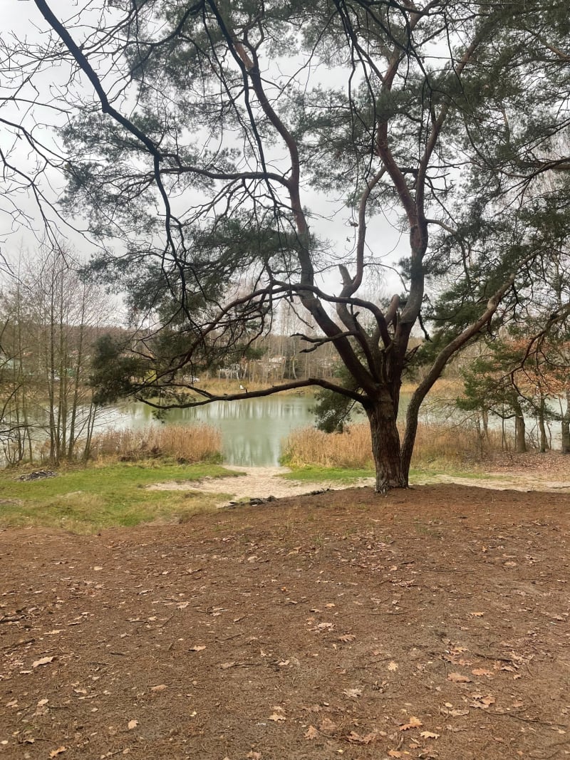 Bartoszewo i lasy otaczające - Bartoszewo