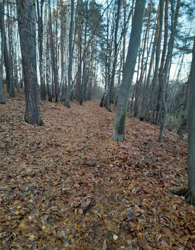 Spacer Geosfera - Jaworzno