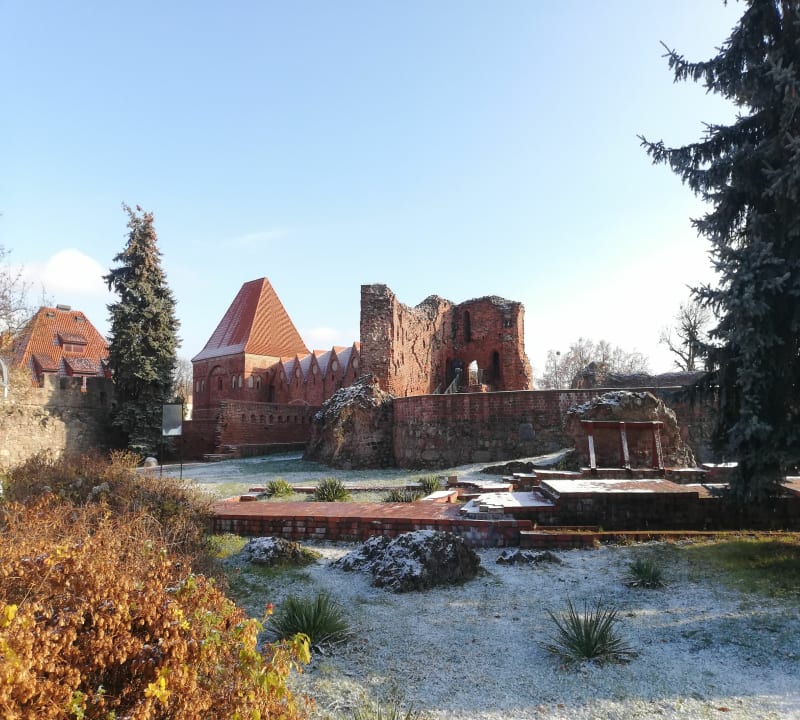Odwiedzamy ruiny średniowiecznego zamku krzyżackiego - Toruń