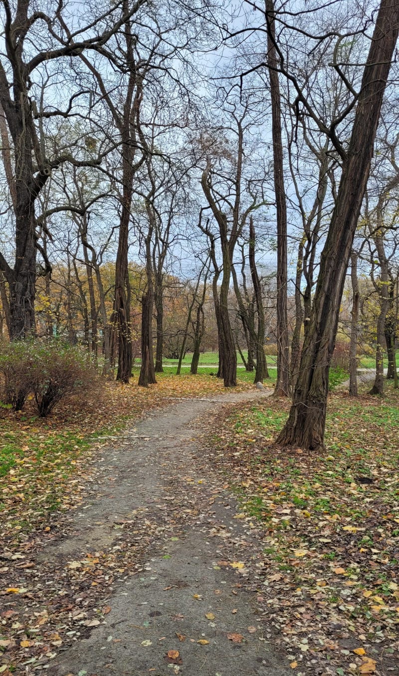 Pętla Park Popowicki - Górka Szczepińska - Wrocław