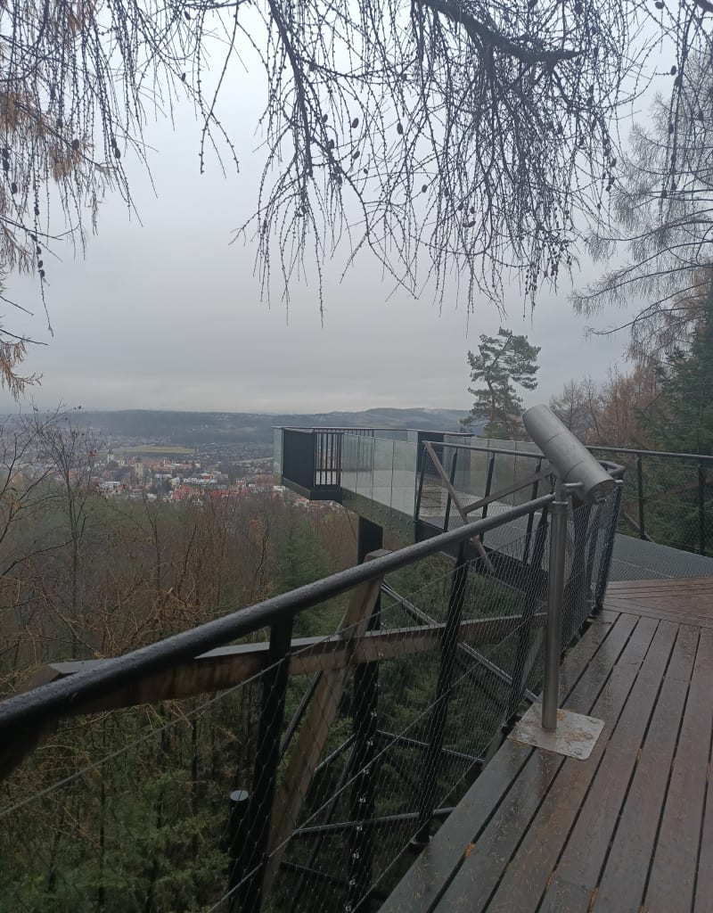 Leśne Molo na górze miejskiej w Starym Sączu - Stary Sącz