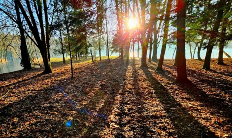 Park im. Jacka Kuronia po trasie Parkrun Sosnowiec - Sosnowiec
