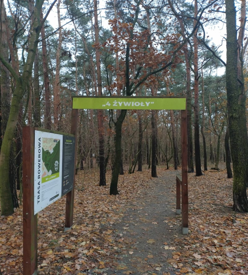 Trasa piesza "4 żywioły" z siłownią na świeżym powietrzu - Zielona Góra