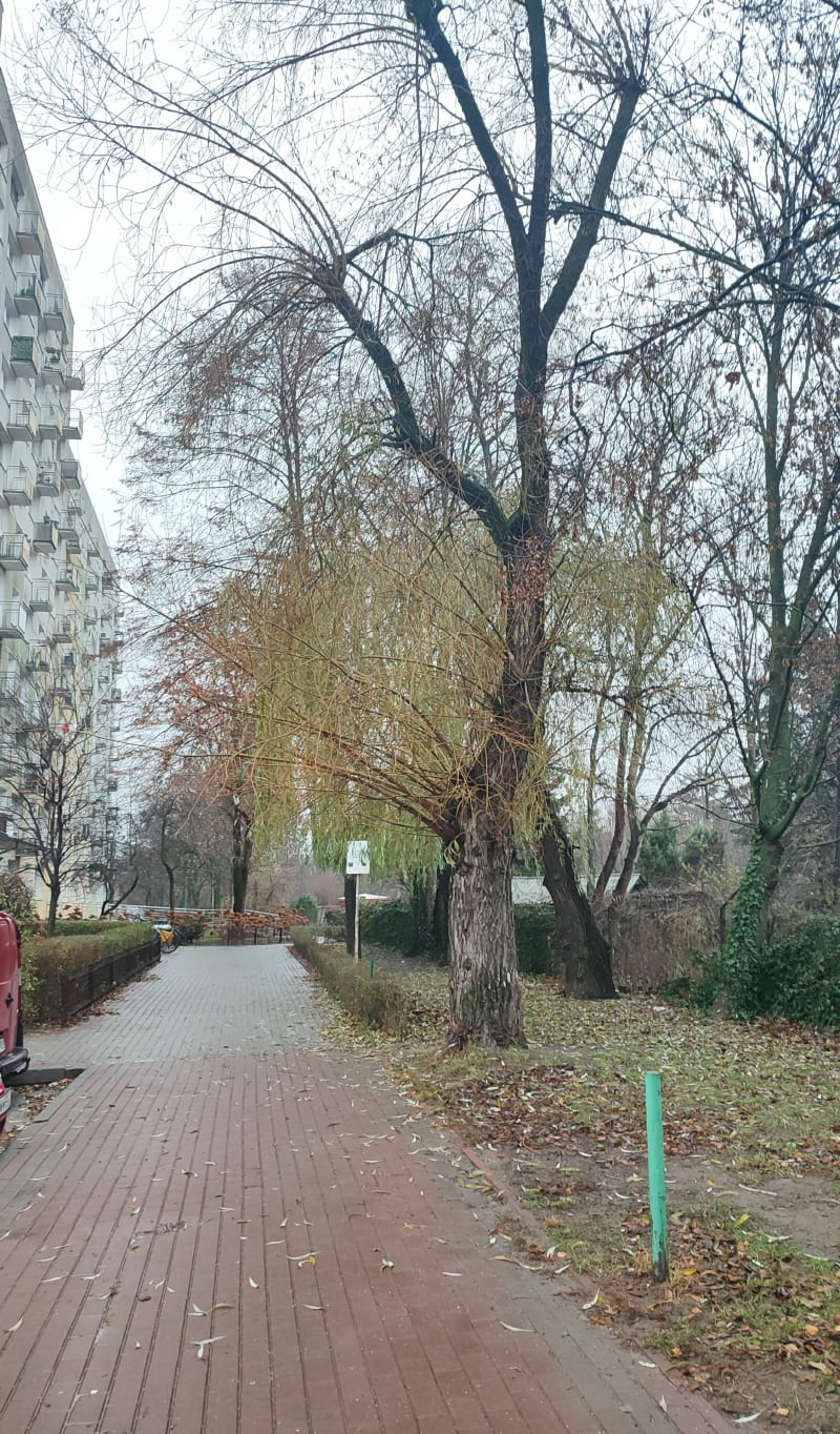 Spacer wokół ogródków działkowych "Waszyngtona" - Warszawa