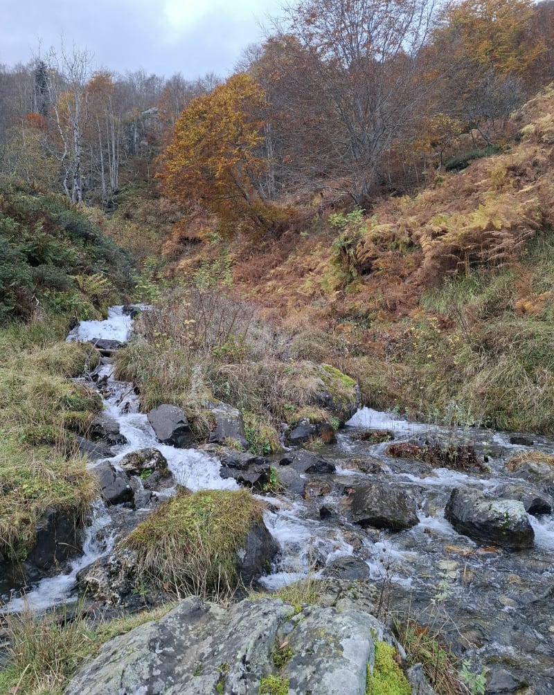 Sur les traces du pic du Cabaliros - Cauterets