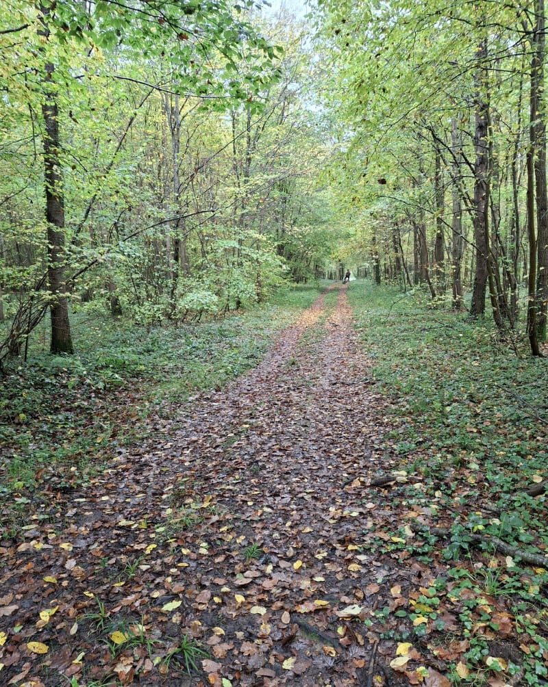 Parcours spécial reprise à La Neuville - La Neuville-en-Hez
