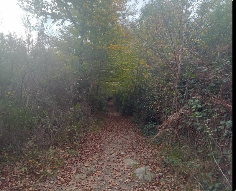 Puyboureau -Vaulry - Vaulry