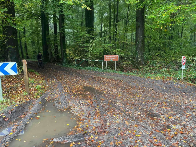 Forêt de Lyons - Lyons-la-Forêt