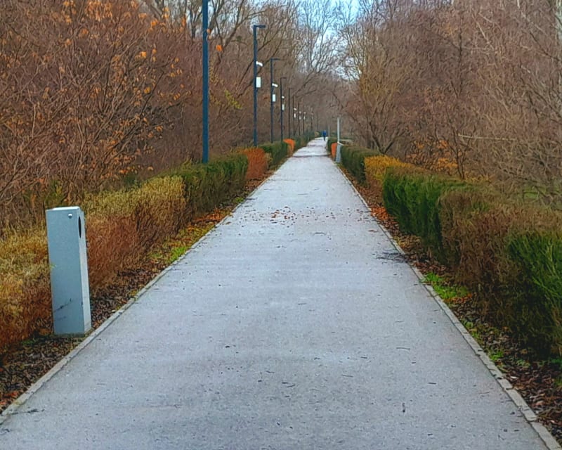 Rundka wokol centrum Stalowej Woli - Stalowa Wola