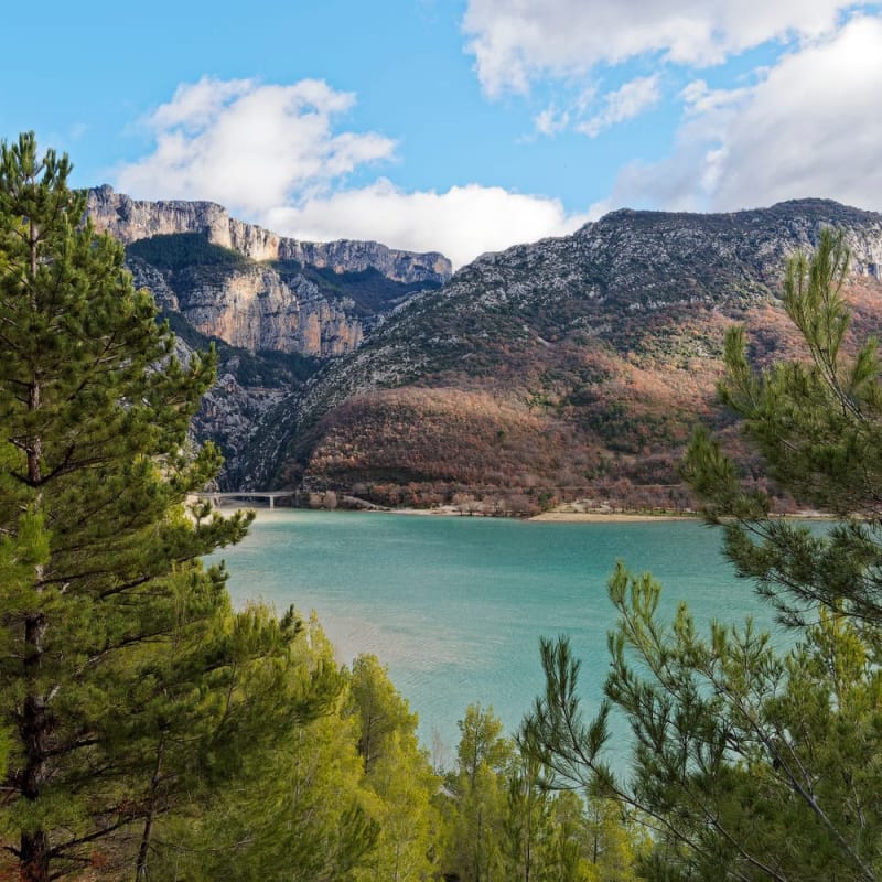 Randonnée gorges de Baudinard : vue à travers conifères sur étendue d'eau bleue et montagnes